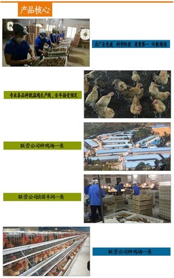 柳州市得凤家禽养殖场(微型企业)